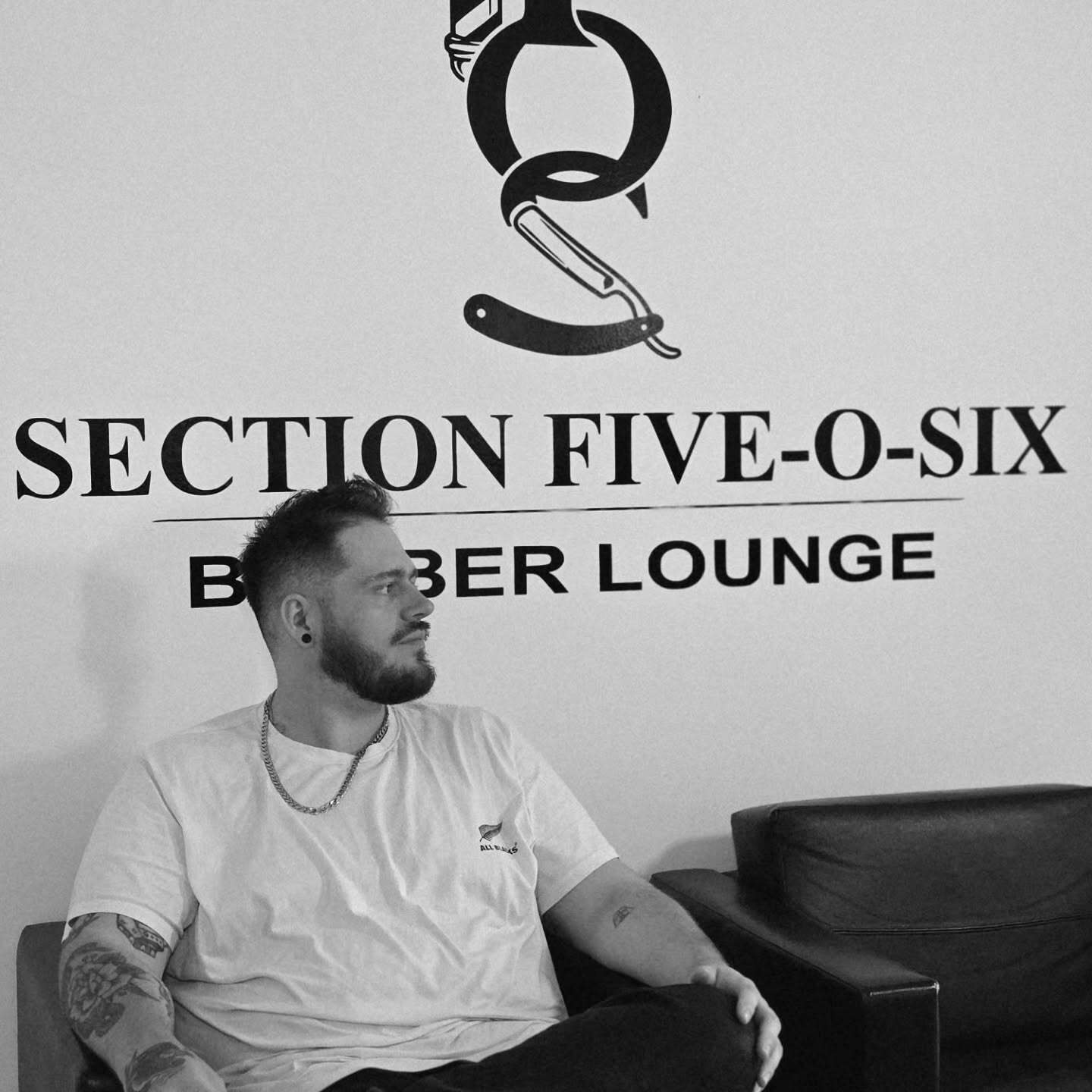 Talon on the couch under the Section Five-O-Six wall